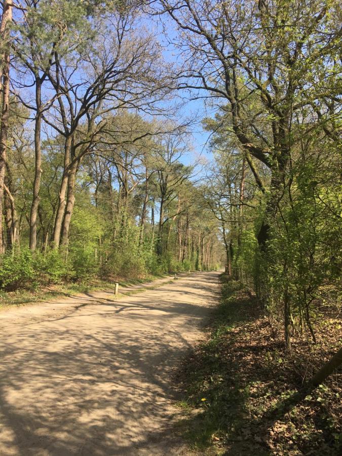 Geschakelde Bungalow Op De Veluwe "De Eekhoorn" อ็อตเตอร์โล ภายนอก รูปภาพ